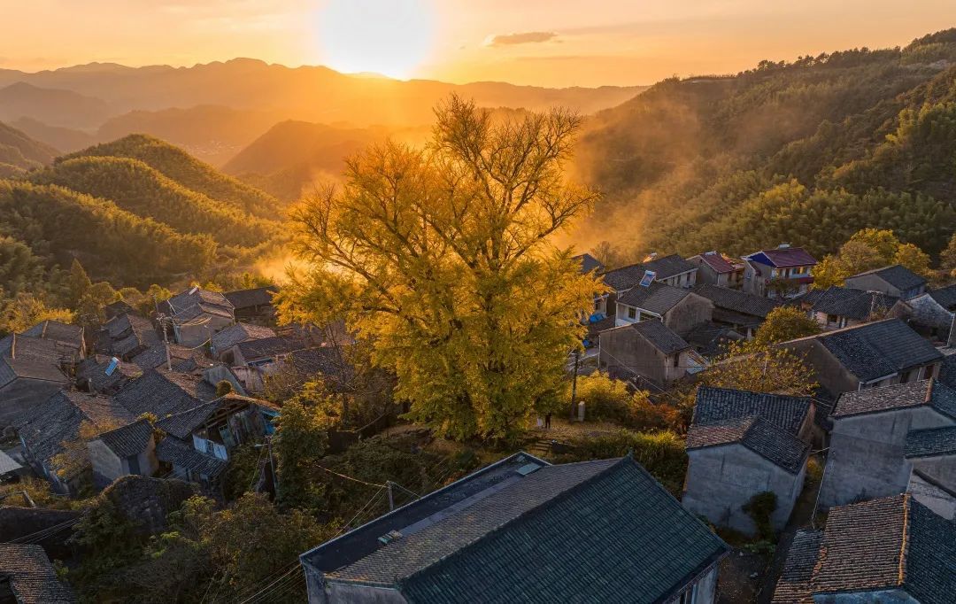 宁波美丽乡村示范村图片