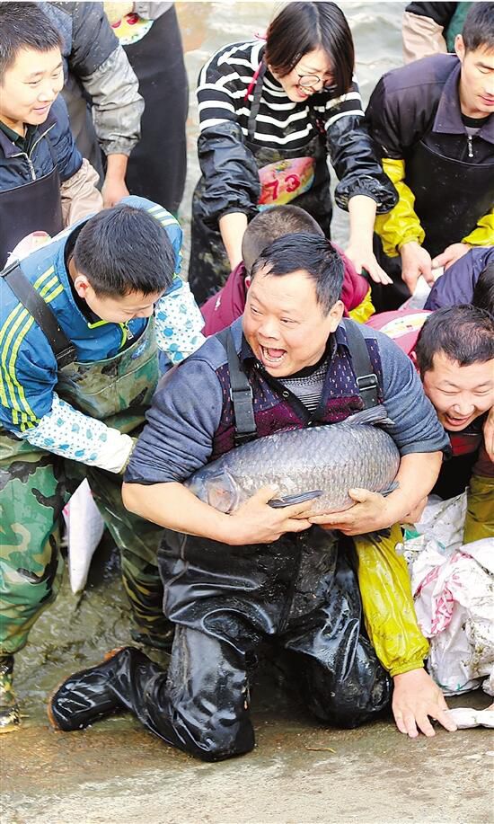 位於開化縣何田鄉龍坑的清水魚養殖基地.