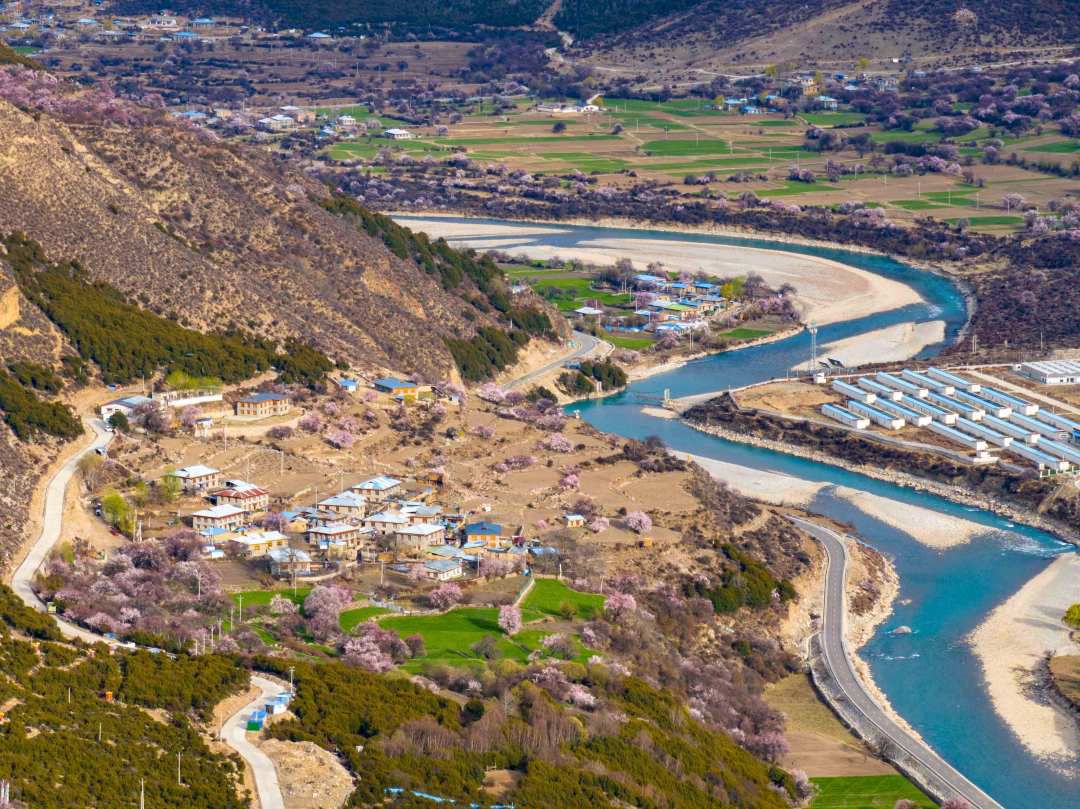 西藏嘉黎藏北高原桃花开