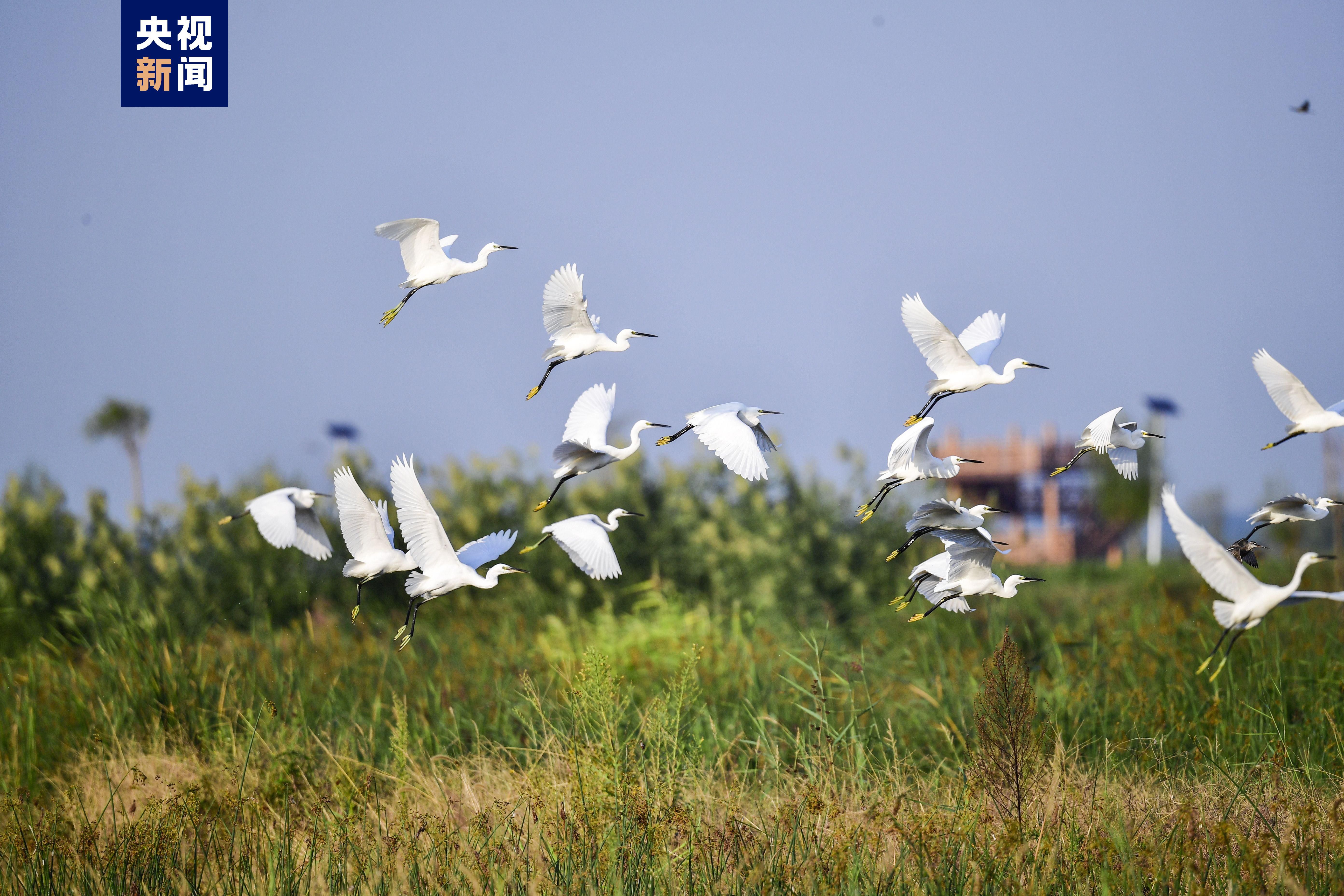 白洋淀景区明日开始试营业 5月1日起正式开放