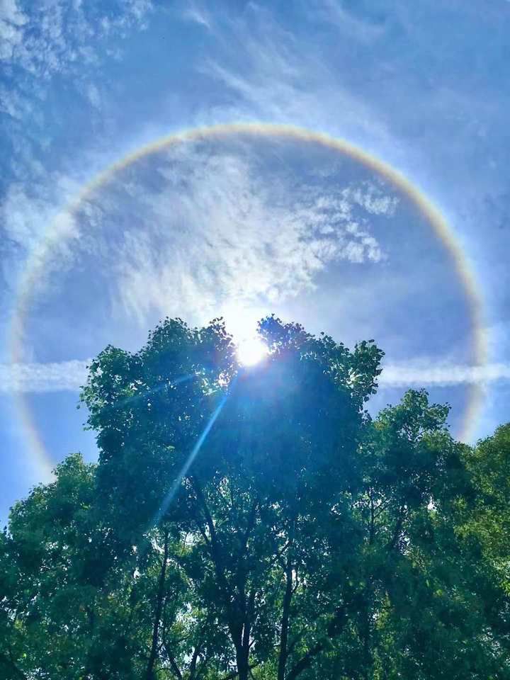 温州出现日晕,快抬头看看!网友:太阳好像戴了美瞳