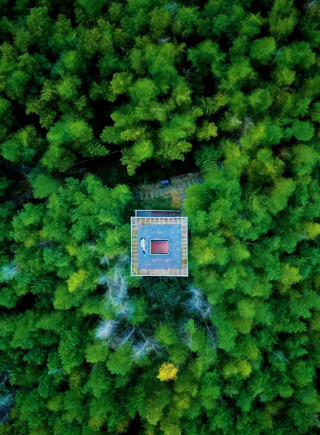 小红书@阿旭zzzz浙东大竹海景区四面环山,苏岙溪和雷岙溪从两侧奔流而
