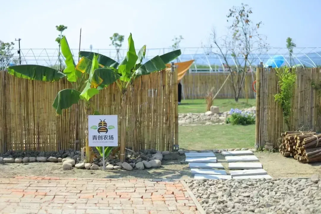 这个"六一",去撒欢吧!