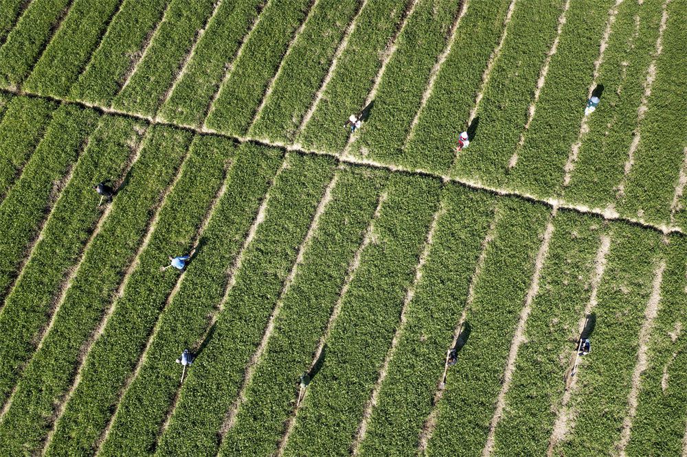 微信图片_20230304085846