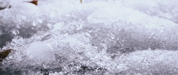 1129424894_16784371280811n