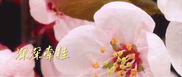 1129424894_16784372292561n