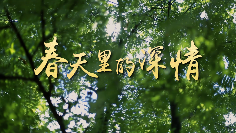 1129424894_16784372730411n