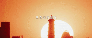 1129424894_16784372730381n