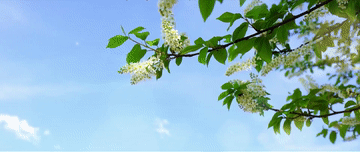 1129424894_16784372292561n