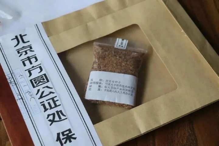 宁大2.jpg 宁大2.jpg