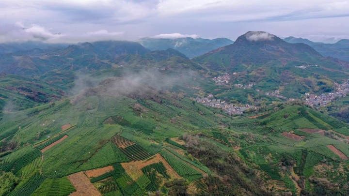 VCG111422182174.jpg VCG111422182174.jpg