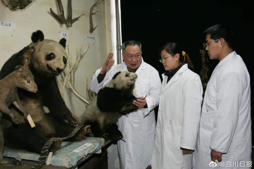 1676587735693266.png?x-oss-process=style/w10 image.png?x-oss-process=style/w10