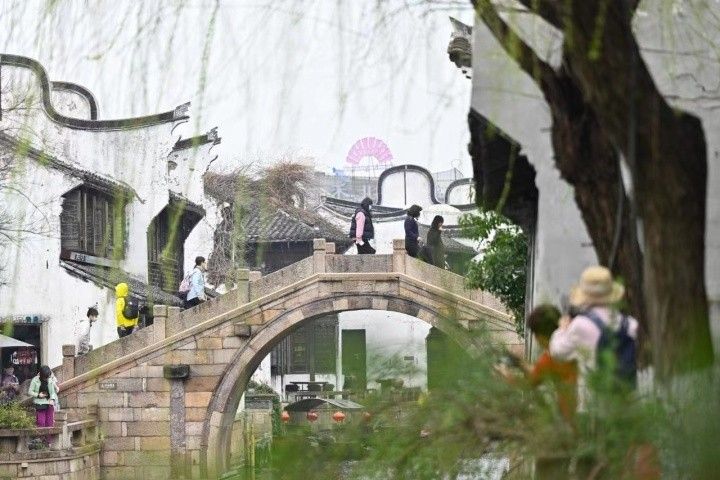 月河杨柳依依 摄影记者 张启帆.jpg